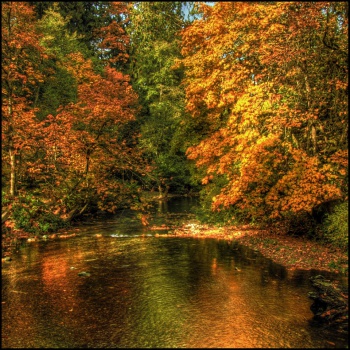 Goldstream Provincial Park by Evan Leeson