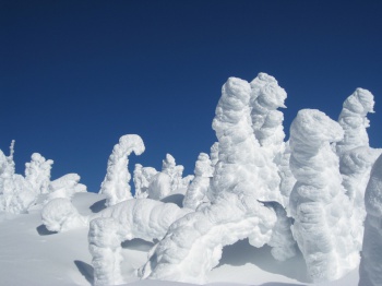 Vancouver 2010 Snow by BBC World Service