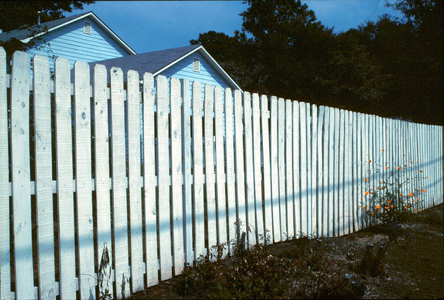 Fence by Mom Smackley