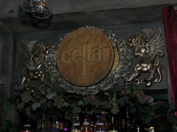The Cellar by Raj Taneja