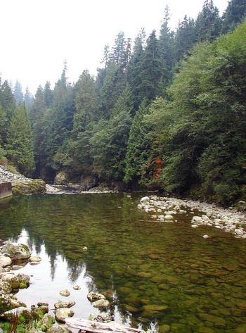 capilano river