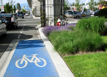 Bike Line by Robert Ashworth