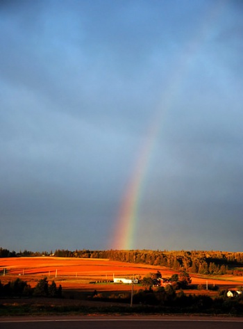 Farmland on Prince Edward Island by Wikimedia Commons