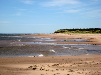 Summer Prince Edward Island by Michael Sprague