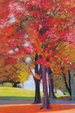 Autumn Color Maples by Masako Araki in Federation of Canadian Artists