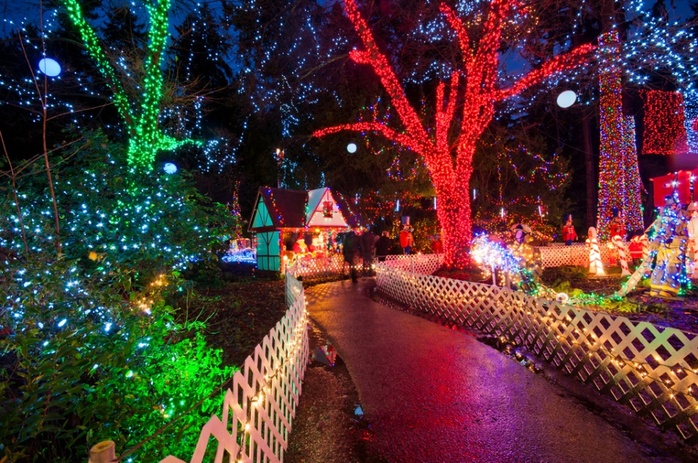 Stanley Park with Christmas decorations