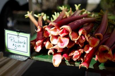 Rhubarb Farmers Market Vancouver