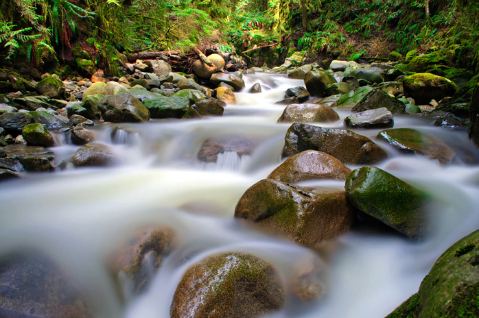 Cypress park stream