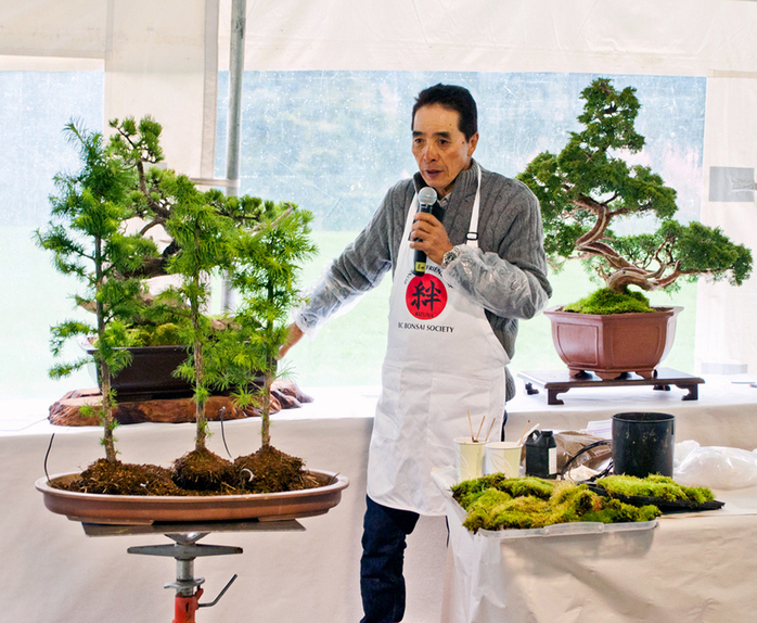 BC Bonsai Society presentation