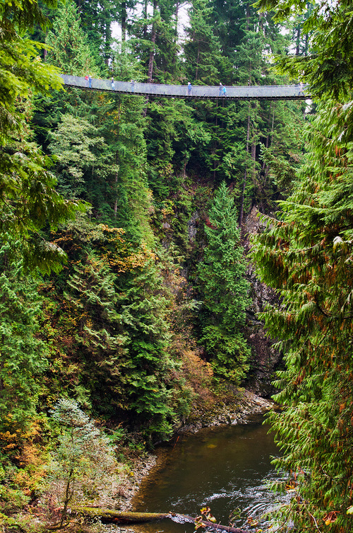 Capilano Suspension Bridge Hangs Over the River