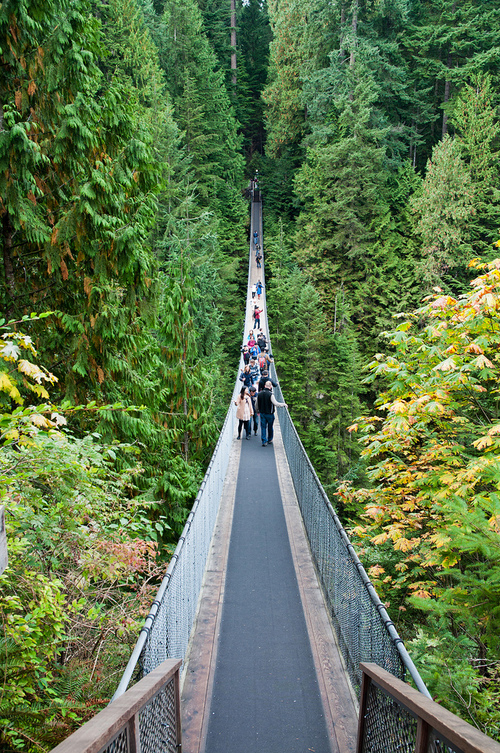 Crossing the Capilano Suspension Bridge