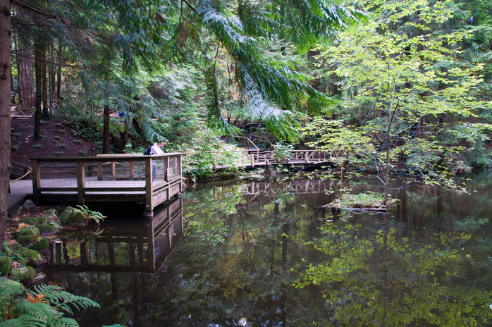 Capilano Suspension Bridge park Lake