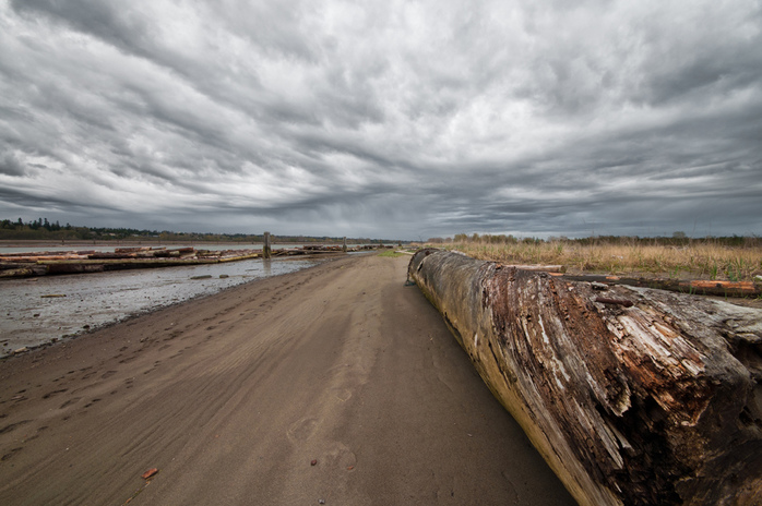 Iona Beach Old Log and Dramatic Clouds