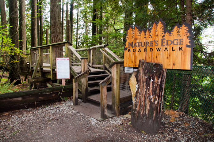 Natures Edge Board Walk