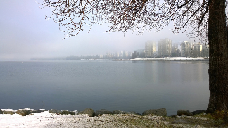 A Vancouver winter by Ruth Hartnup