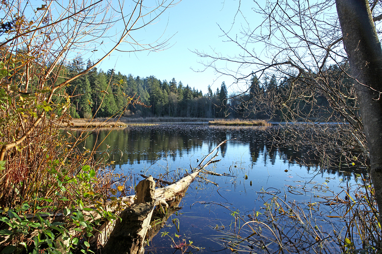 Beaver Lake 1