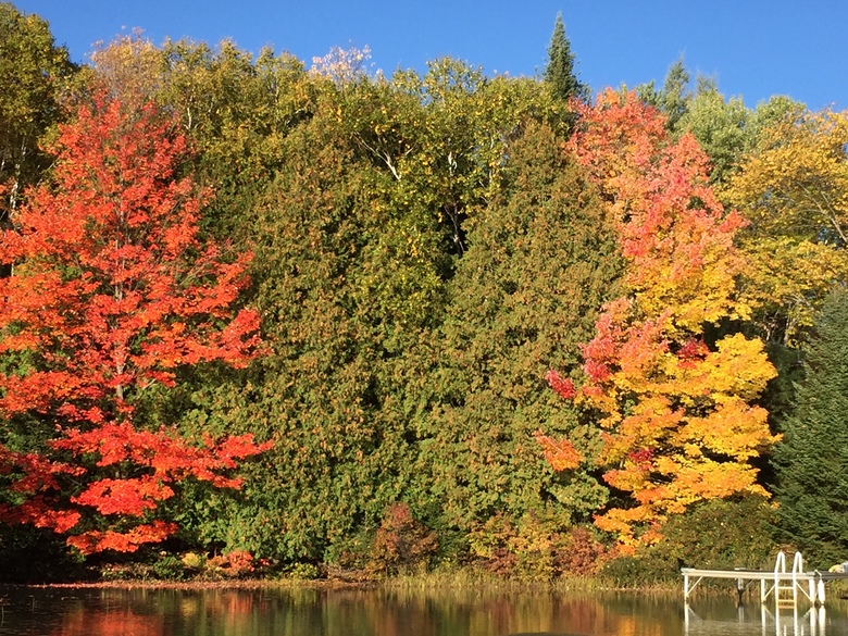 Autumn at Crooked Creek2