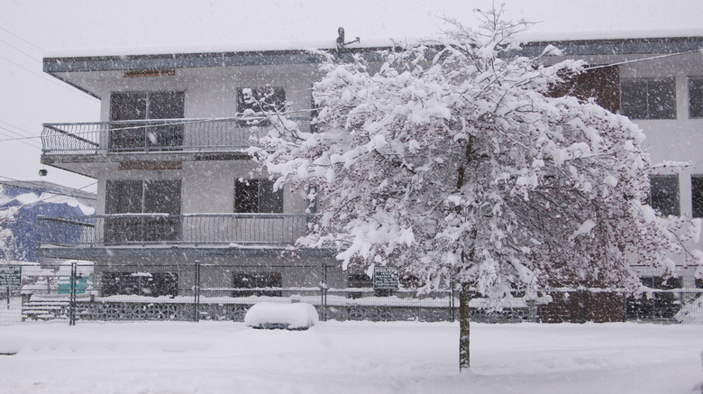 Snowy Stormy Vancouver by Richard Winchell